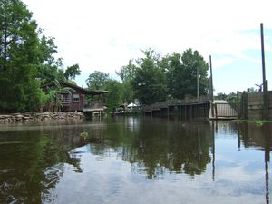 Alligator Bayou Headquarters