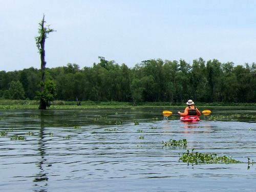 John in Cypress flats