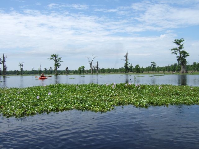 Cypress Flats and Katie