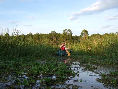 canoeist