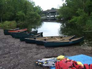 lots of canoes