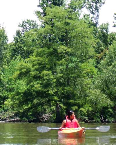 they call me michelle and I came to paddle
