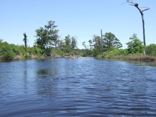The gang at Cane Bayou