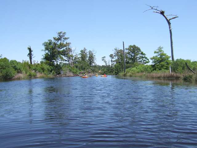 Cane Bayou Mandeville Louisiana and Osprey Nest