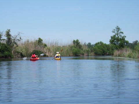 Kayaking in Mandeville LA
